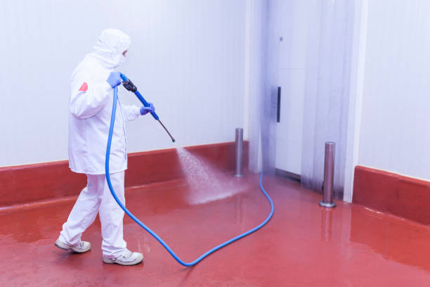 Professional Pressure Washing in Bithlo, FL
